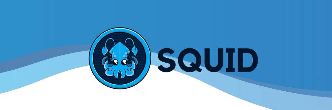 1080x360 /nfts/squid-defi/1080x360.jpg