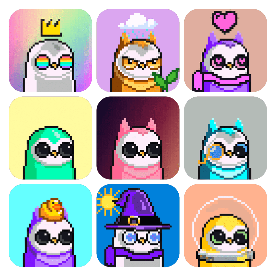 nft /nfts/sunbirbs/1.png