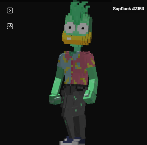 /nfts/supducksvx/1661829087342.jpg