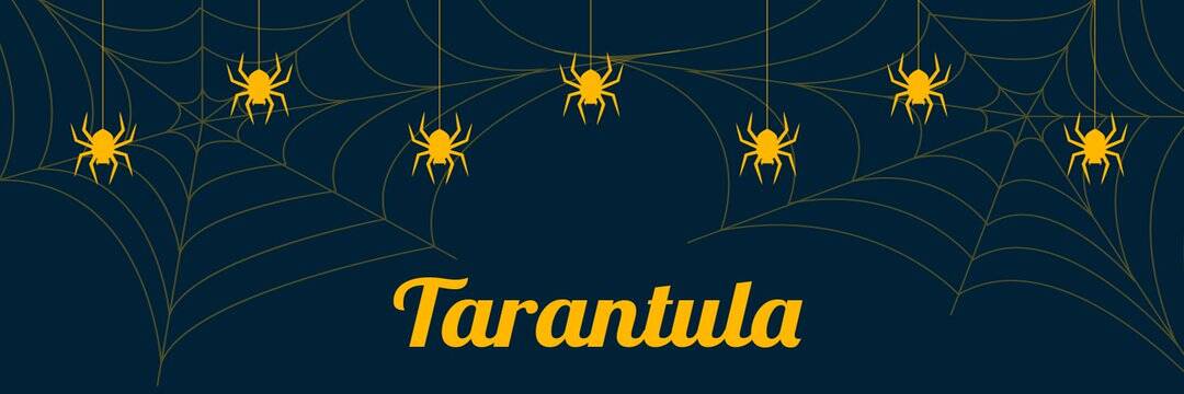 1080x360 /nfts/tarantula/1080x360.jpg