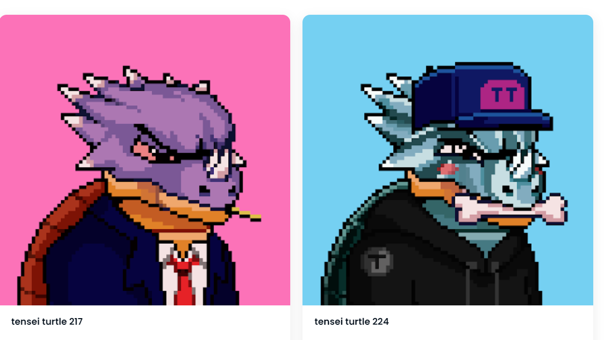 /nfts/tensei-turtles-official/%E5%BE%AE%E4%BF%A1%E6%88%AA%E5%9B%BE_20220830202231.png