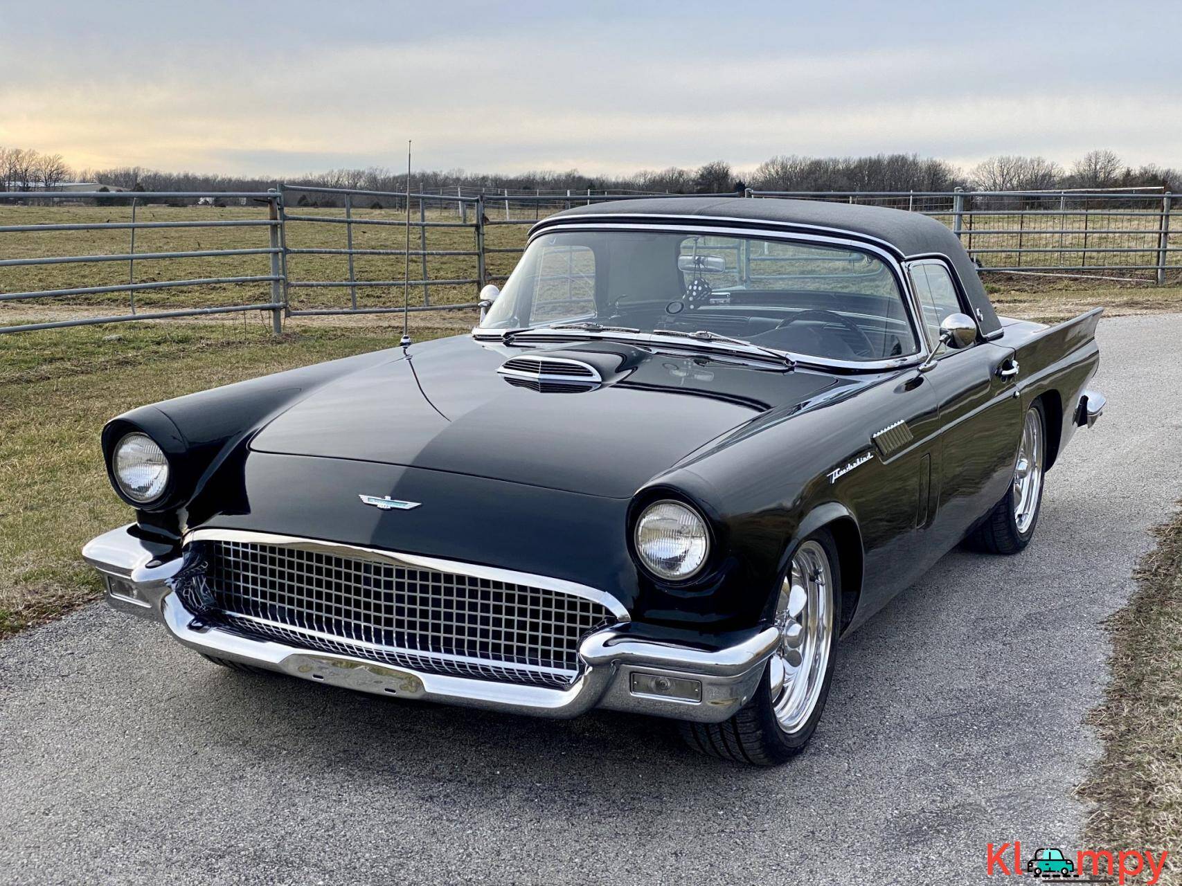 299434 /nfts/thunderbird/299434.jpg