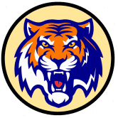 老虎金融#BSC 第三代自动通缩收益农场,具有反鲸鱼、收获锁定、推荐收入、被动燃烧和减排 /nfts/tigerfinance/tigerfinance.png