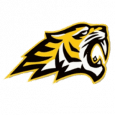 Tigeriz.io 是众筹 100% 去中心化智能合约收益平台。 /nfts/tigeriz/tigeriz.png