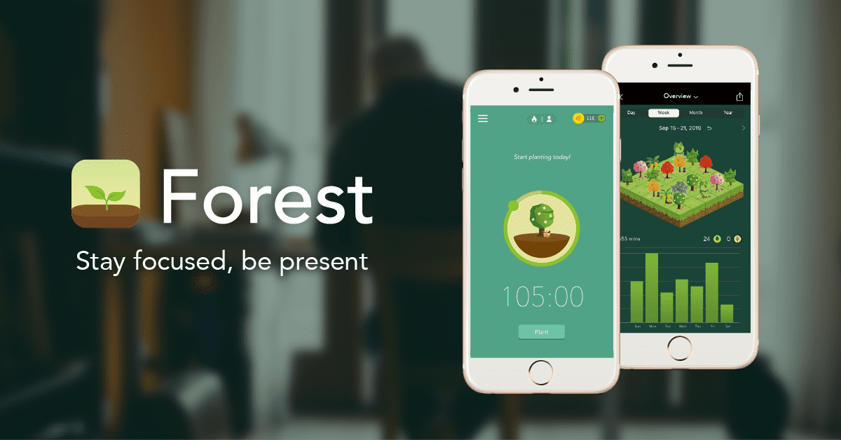 en /nfts/time-forest/en.png