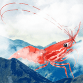 Shrimp Farm 2 是 Tron Shrim 的经典配方 /nfts/tron-shrimp-2/tron-shrimp-2.png