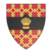 收获小麦并以每天 10% 的初始费率获得 TT /nfts/tt-windmill/tt-windmill.png