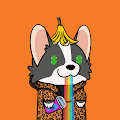 /nfts/utmostcorgi/utmostcorgi.png