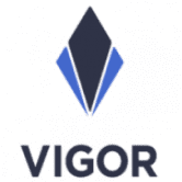 VIGOR 是一个借贷和储蓄社区。 /nfts/vigor/vigor.png