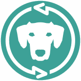 具有高年利率的流动性挖矿和质押池。 /nfts/vizslaswap/vizslaswap.png