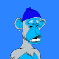 /nfts/winterapes/winterapes.png