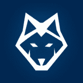 Wolf.bet 是一个可证明公平的赌博赌场网站,具有独特的设计和移动优先方法 /nfts/wolf-bet/wolf-bet.png