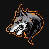 Wolf-pack Space,币安智能链上首个 BNB 期货平台。 /nfts/wolfpackspace/wolfpackspace.png